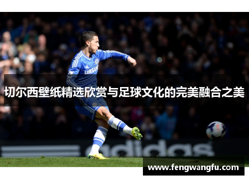 切尔西壁纸精选欣赏与足球文化的完美融合之美