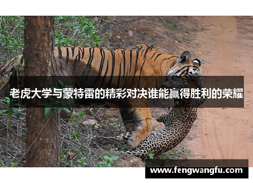 老虎大学与蒙特雷的精彩对决谁能赢得胜利的荣耀