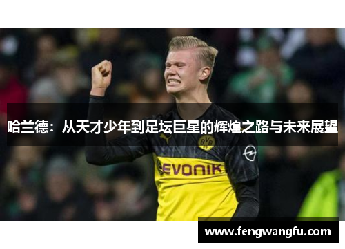 哈兰德：从天才少年到足坛巨星的辉煌之路与未来展望