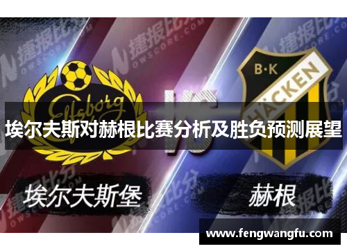 埃尔夫斯对赫根比赛分析及胜负预测展望